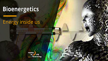 Bio-Energetics Bio-Energetics
