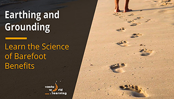 Earthing & Grounding Earthing & Grounding
