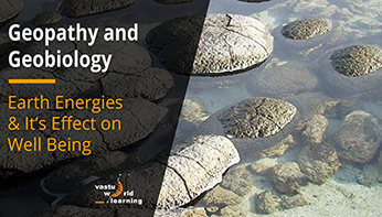 Geopathy & Geobiology Geopathy & Geobiology
