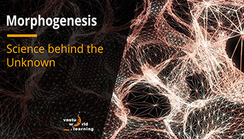 Morphogenesis Morphogenesis